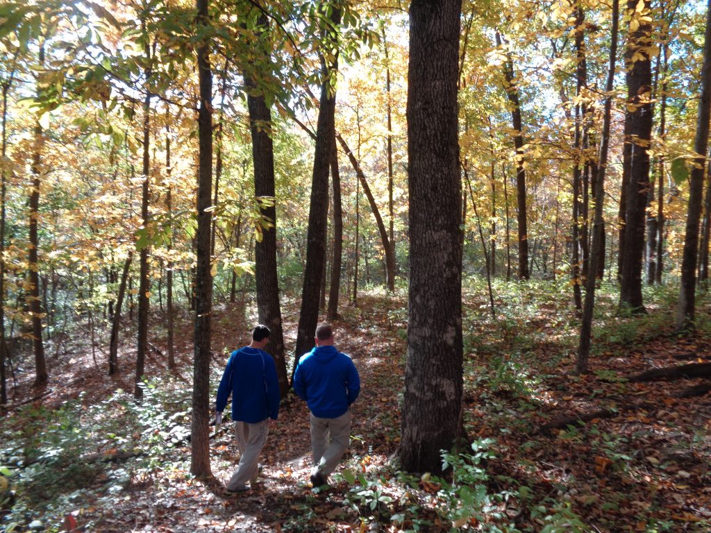 Two men hiking in the wooods.