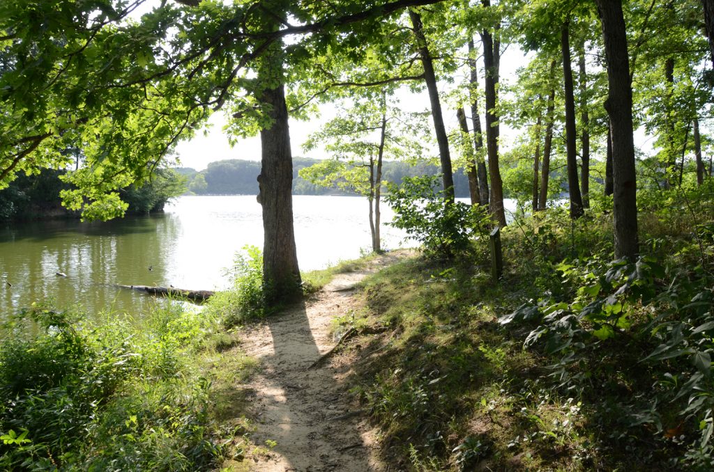 Shoal Creek Conservation Area trail next to Lake Lou Yaeger