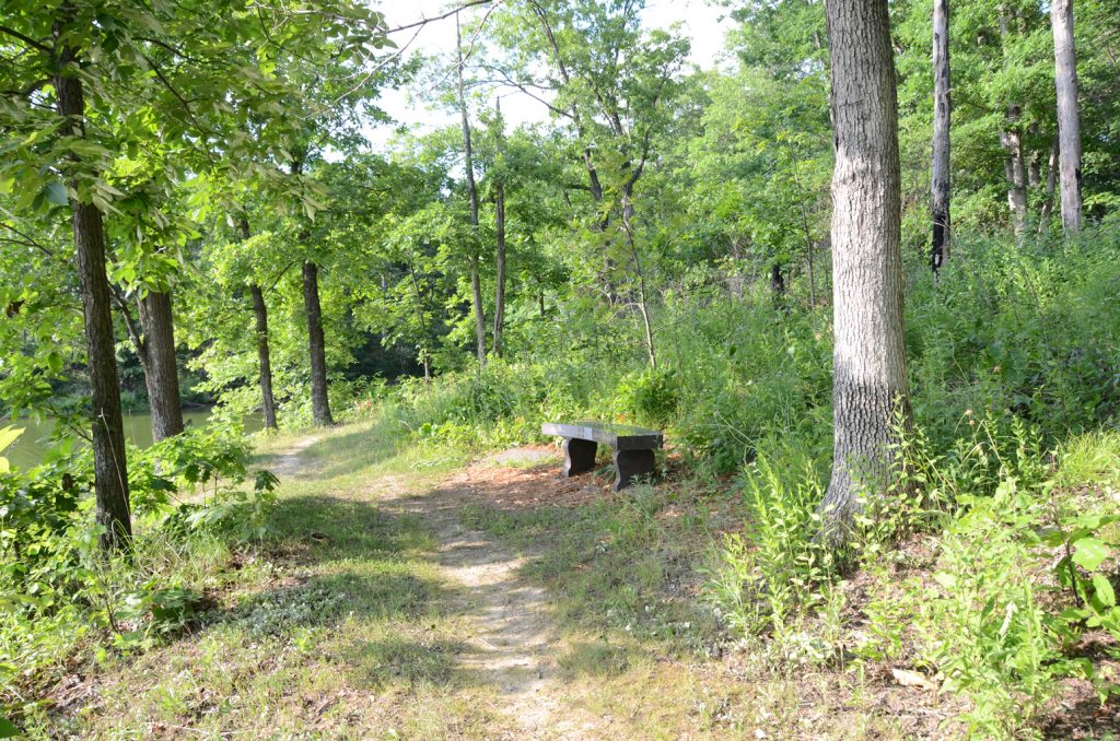 Bench along a trail at Shoal Creek Conservation Area.