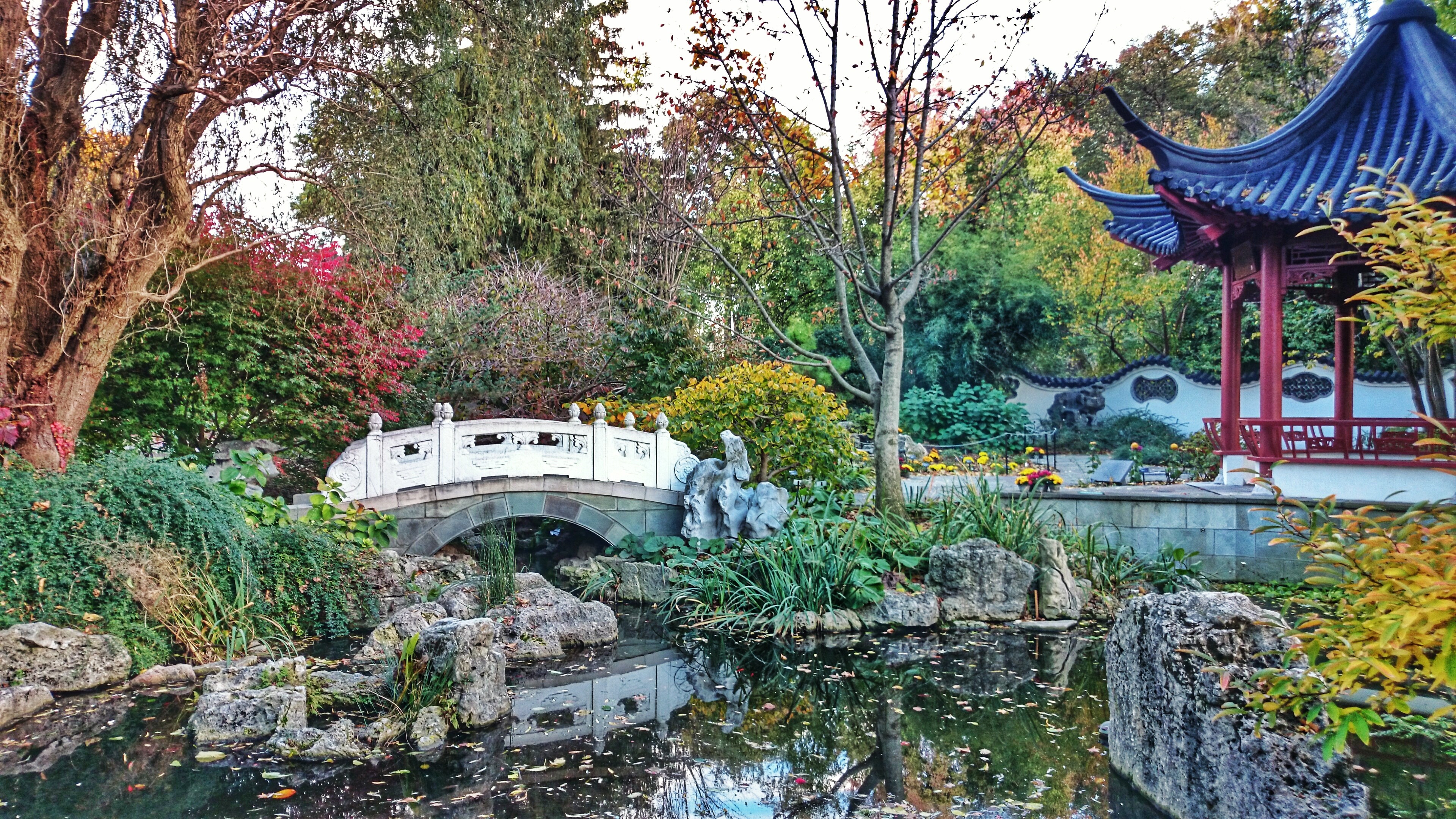 Missouri Botanical Gardens