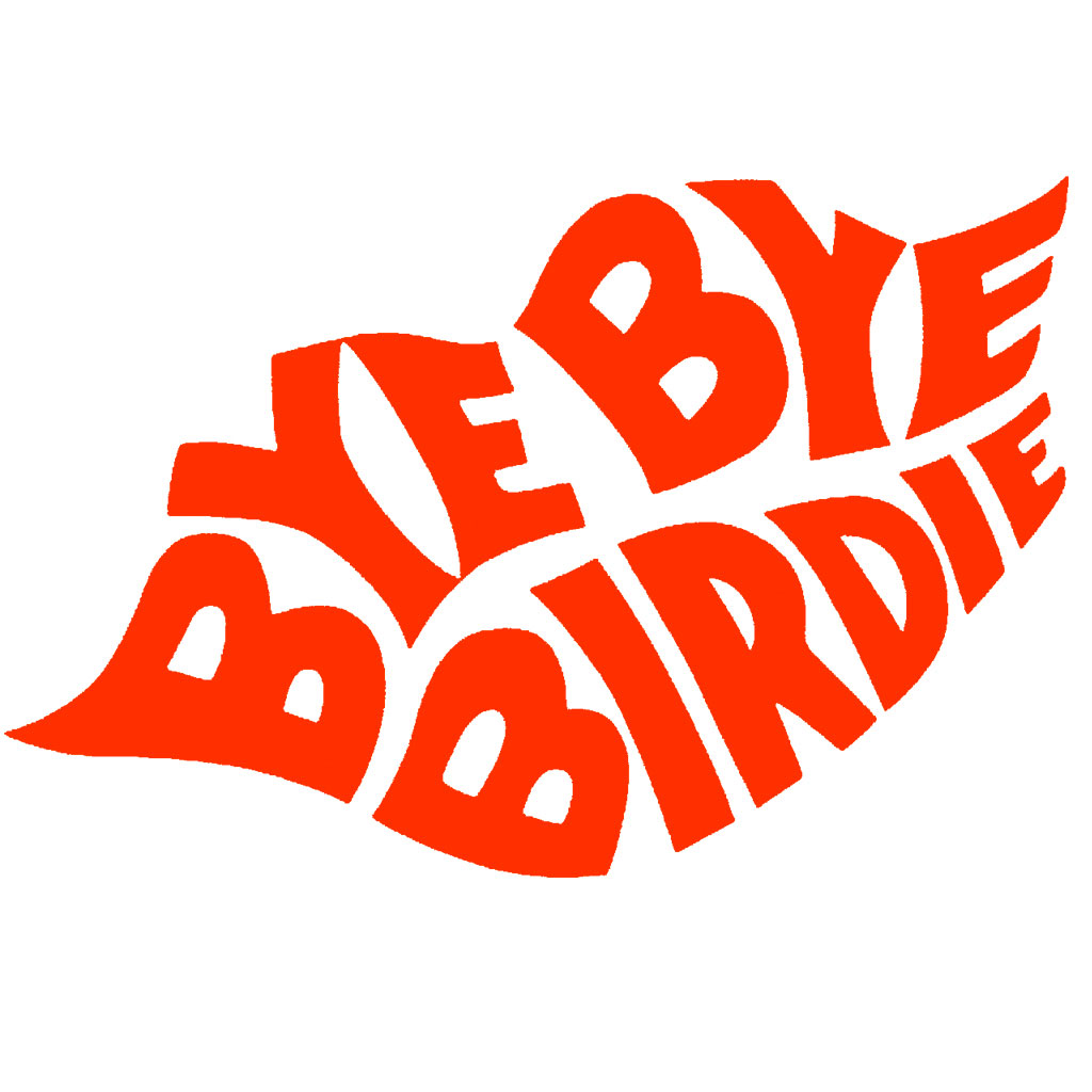 bye-bye-birdie-hdr