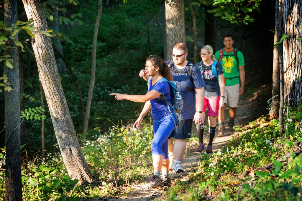 Four hikers walking on a trail through the woods